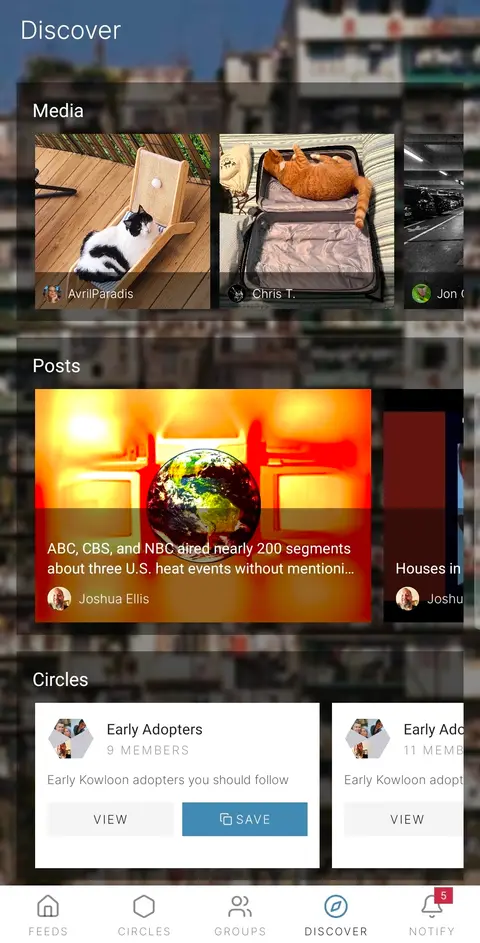 Kowloon Discover page with Media, Posts, and Circles rows